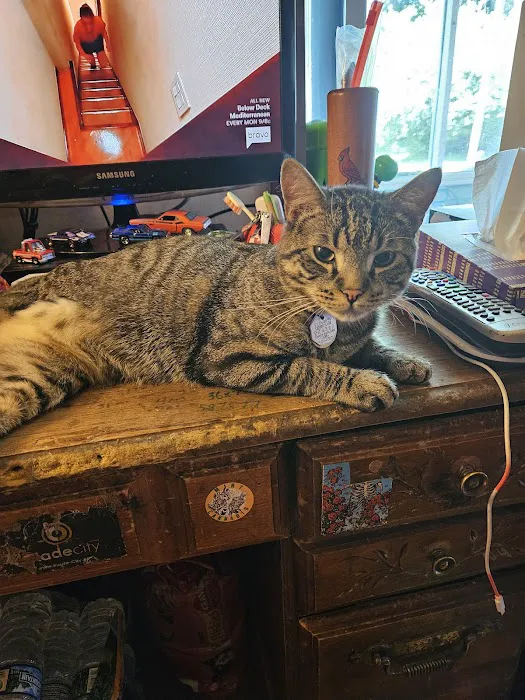 Mexico Road Animal Hospital Picture 8