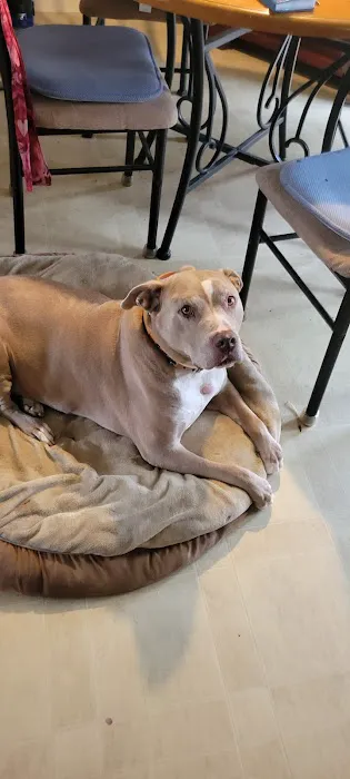 Mexico Road Animal Hospital Picture 9