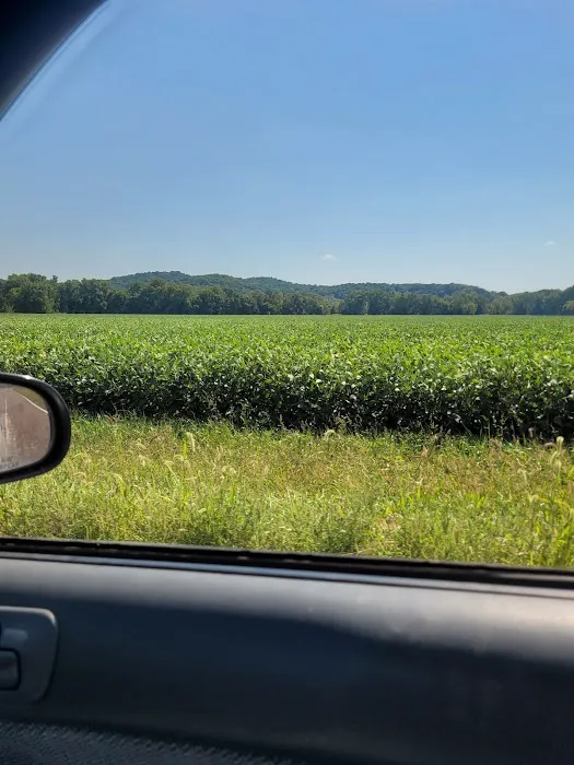 Banfield Pet Hospital Picture 2