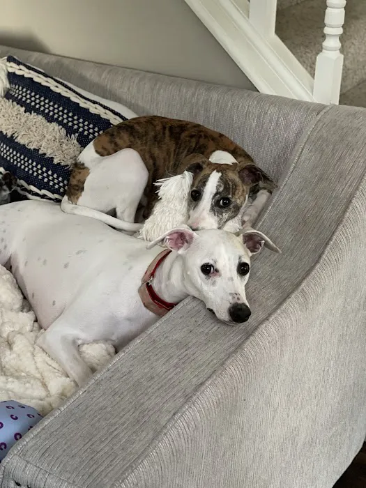 Banfield Pet Hospital Picture 5