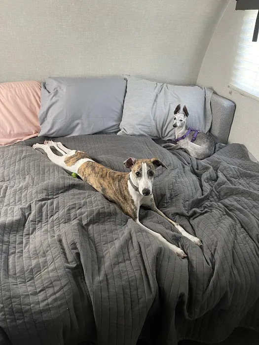 Banfield Pet Hospital Picture 4