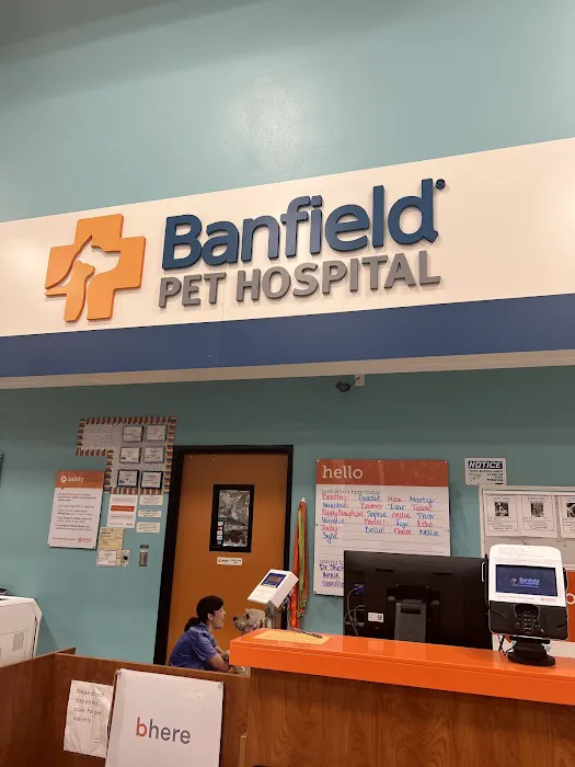 Banfield Pet Hospital Picture 7