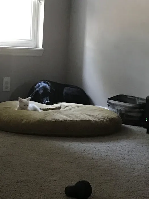 Banfield Pet Hospital Picture 8