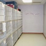 VCA All Creatures - Cloud Animal Hospital