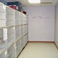 VCA All Creatures - Cloud Animal Hospital ico