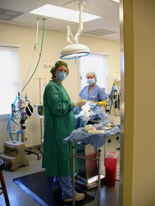 VCA All Creatures - Cloud Animal Hospital Picture 4