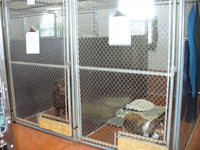 VCA All Creatures - Cloud Animal Hospital Picture 7