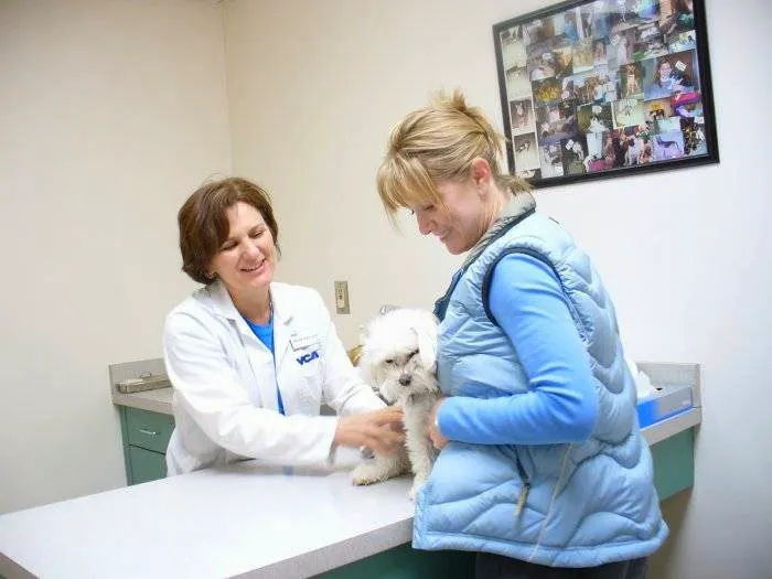 VCA All Creatures - Cloud Animal Hospital Picture 8