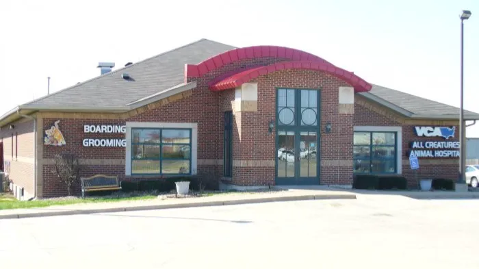 VCA All Creatures - Cloud Animal Hospital Picture 9