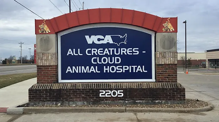 VCA All Creatures - Cloud Animal Hospital Picture 10