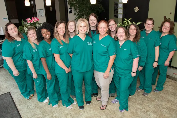 Back on Track Veterinary Hospital & Rehabilitation Center Picture 1