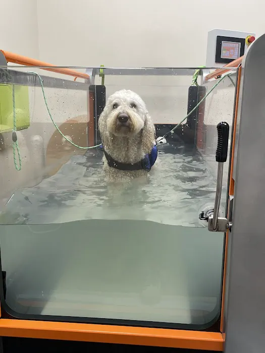 Back on Track Veterinary Hospital & Rehabilitation Center Picture 3