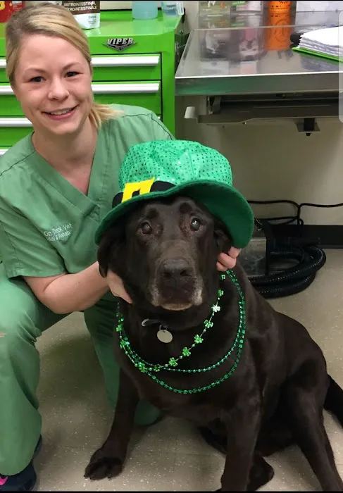 Back on Track Veterinary Hospital & Rehabilitation Center Picture 4