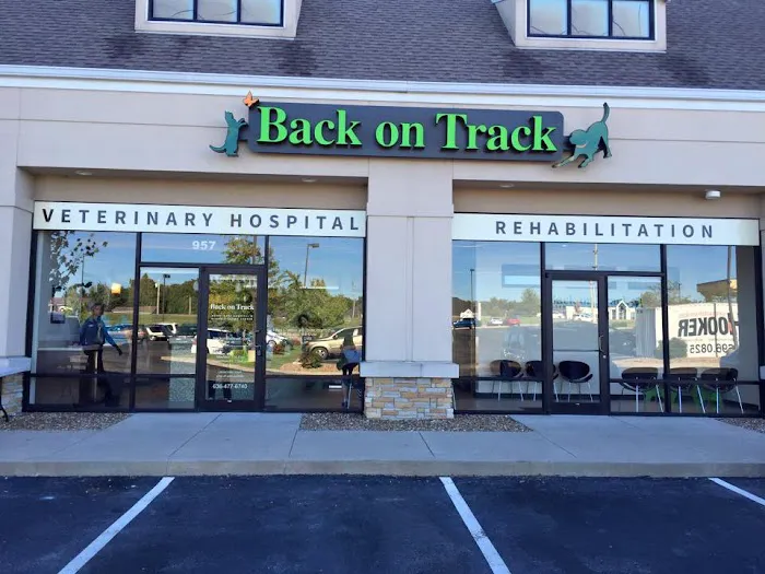 Back on Track Veterinary Hospital & Rehabilitation Center Picture 10
