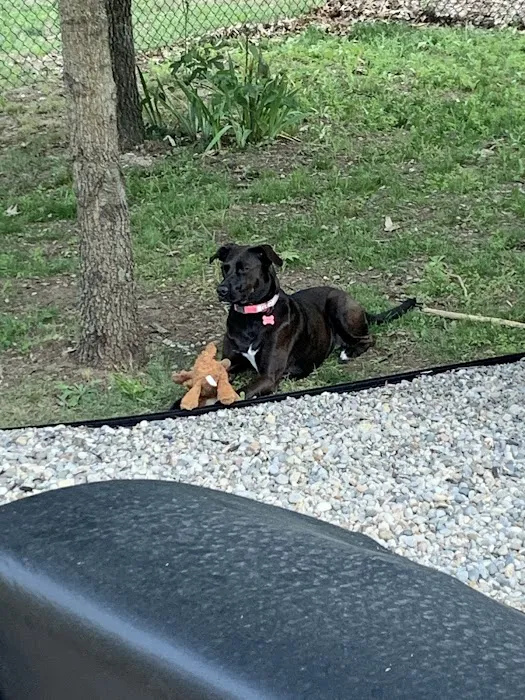 Gentle Doctor Animal Hospital Picture 4