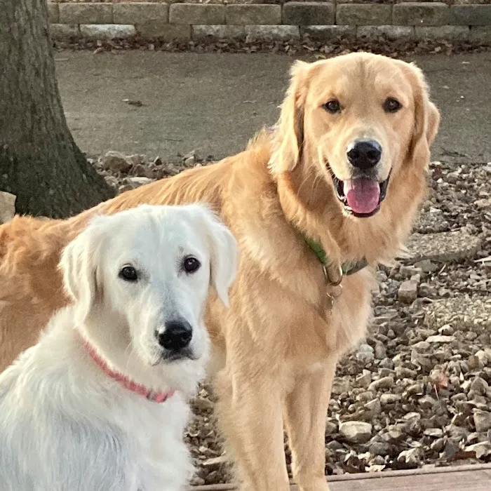 Gentle Doctor Animal Hospital Picture 6