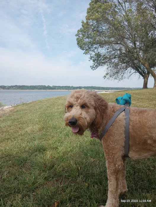 Paris Veterinary Clinic Picture 4