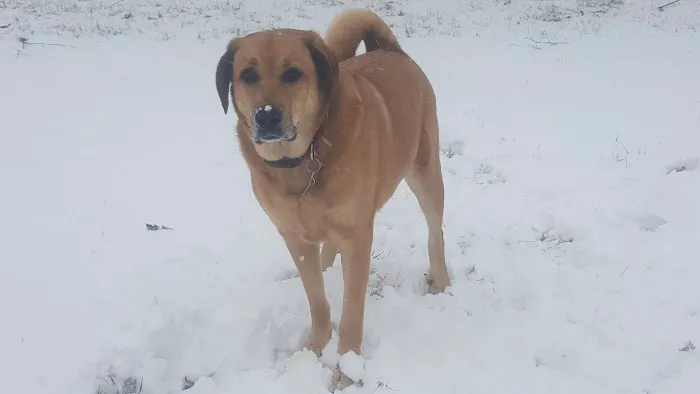 Paris Veterinary Clinic Picture 3