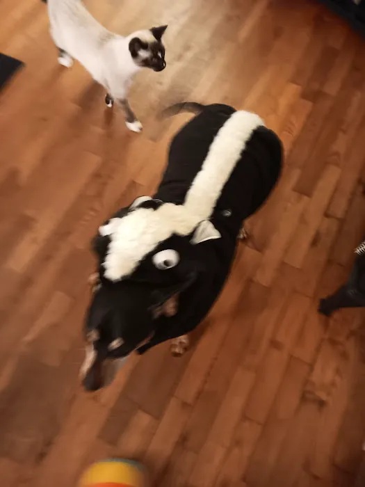 Paris Veterinary Clinic Picture 1