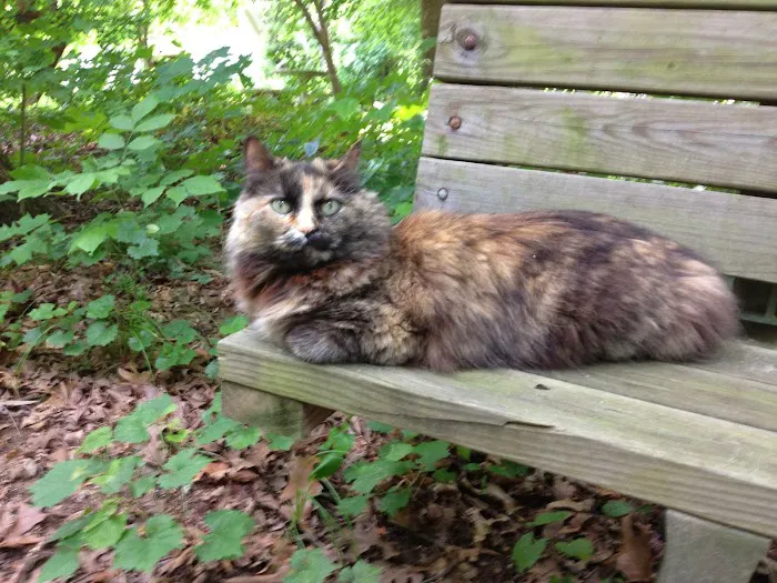 Camden Animal Clinic Picture 3