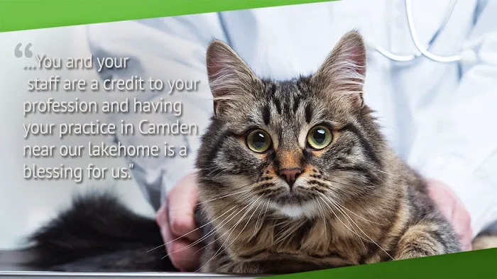 Camden Animal Clinic Picture 2