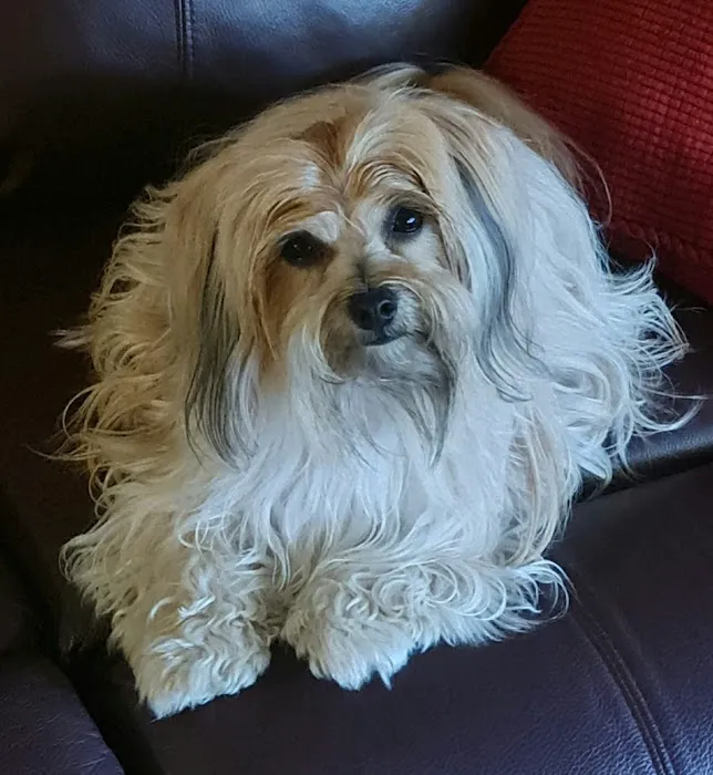 Camden Animal Clinic Picture 1