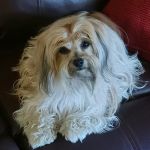 Camden Animal Clinic