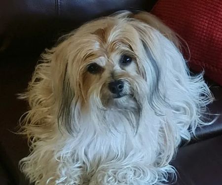 Camden Animal Clinic