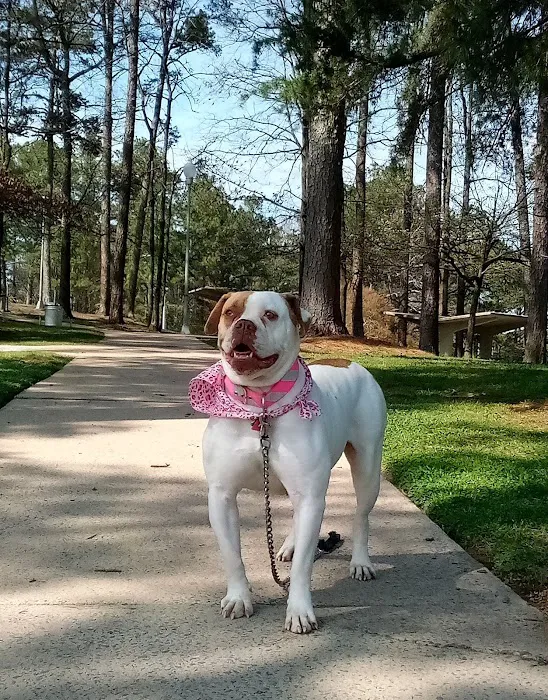 Camden Animal Clinic Picture 6