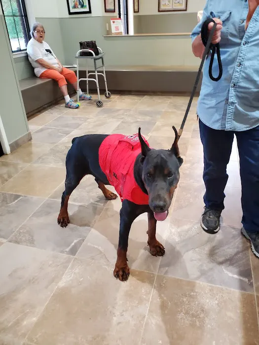 Camden Animal Clinic Picture 5