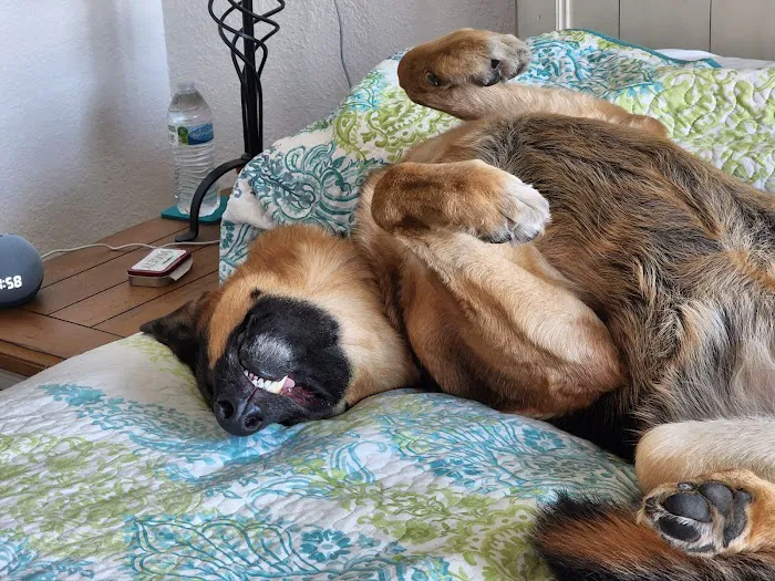 Hometown Animal Hospital Picture 2