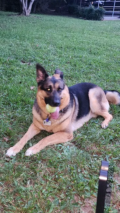 Hometown Animal Hospital Picture 5