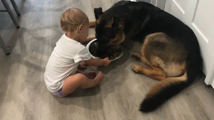 Hometown Animal Hospital Picture 9