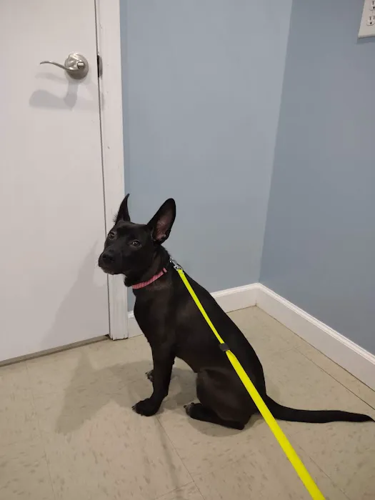 Hometown Animal Hospital Picture 6