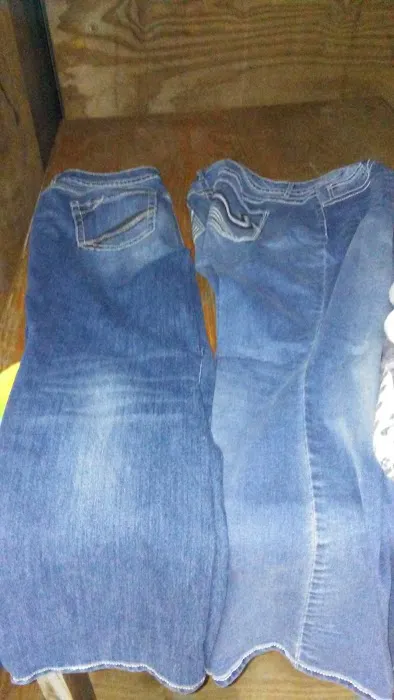 decatur county animal clinic Picture 2