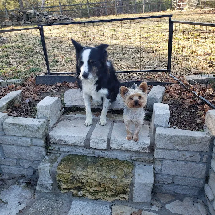 Waverly Animal Clinic Picture 1