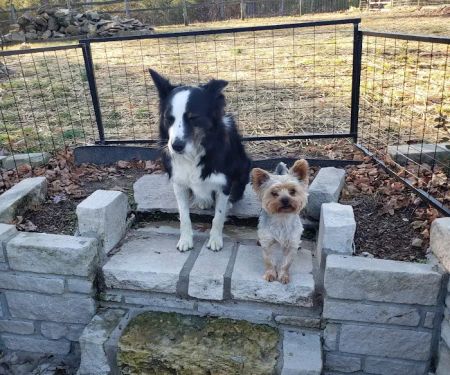 Waverly Animal Clinic