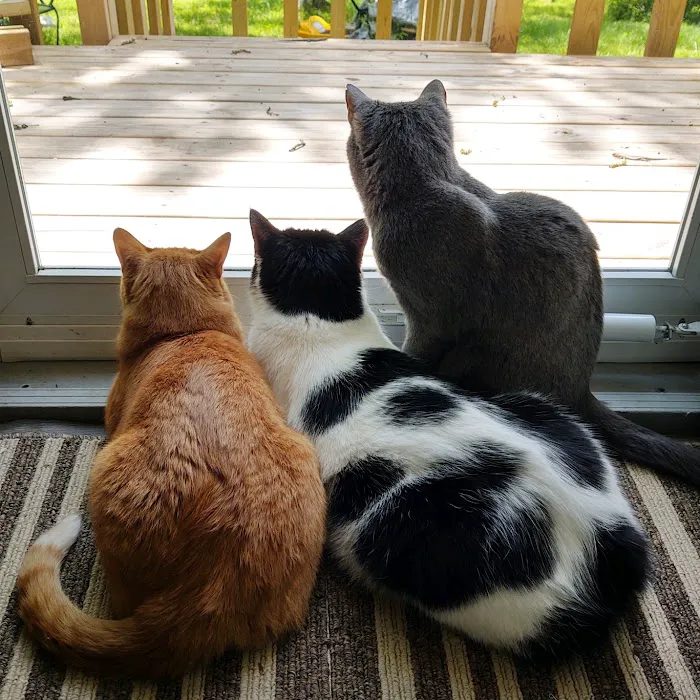 Waverly Animal Clinic Picture 3