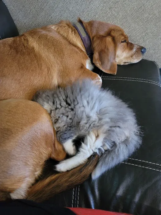 Waverly Animal Clinic Picture 2