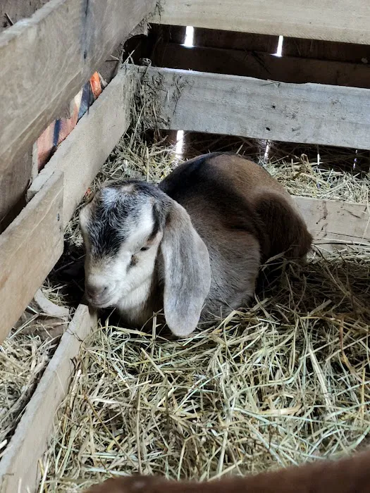 Waverly Animal Clinic Picture 6