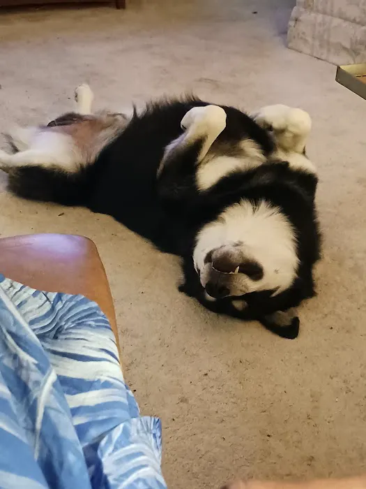 Waverly Animal Clinic Picture 7