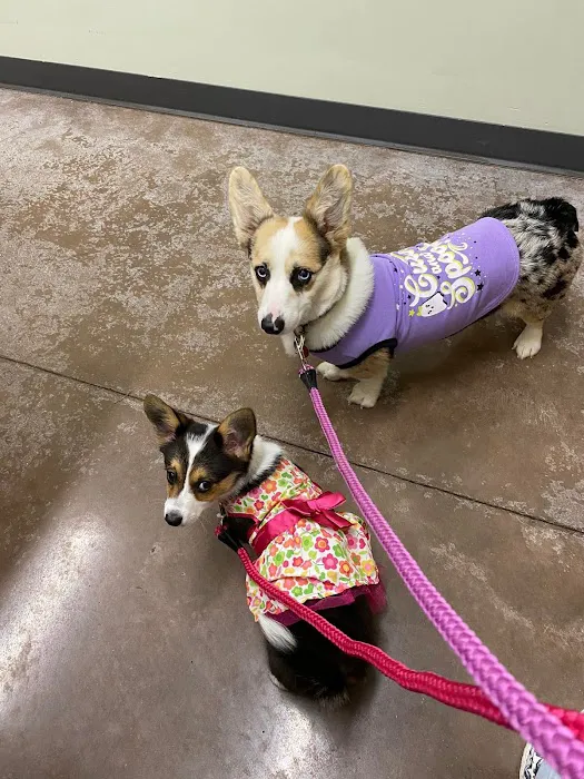 Waverly Animal Clinic Picture 9