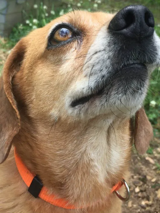 Waverly Animal Clinic Picture 10