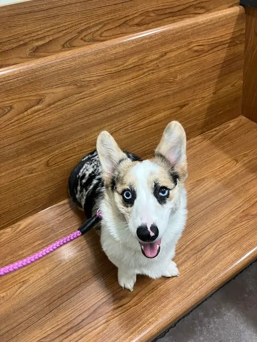 Waverly Animal Clinic Picture 8