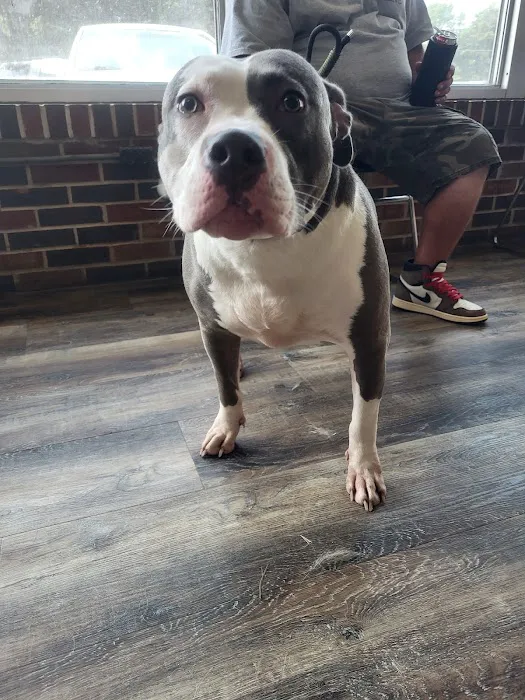 Huntingdon Animal Clinic Picture 6