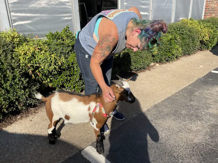 Huntingdon Animal Clinic Picture 8