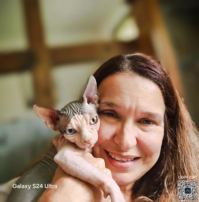 KDRimmer Cattery. Sphynx, Munchkin, Minskin,American Curland Devon Rex Cattery Picture 7