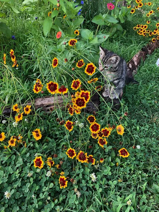 Northwest Tennessee Veterinary Services Picture 6