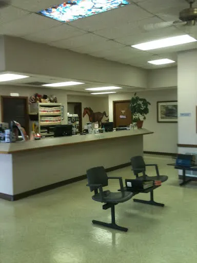 Northwest Tennessee Veterinary Services Picture 3
