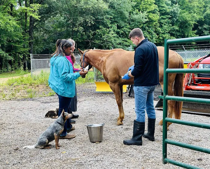 Northwest Tennessee Veterinary Services Picture 7
